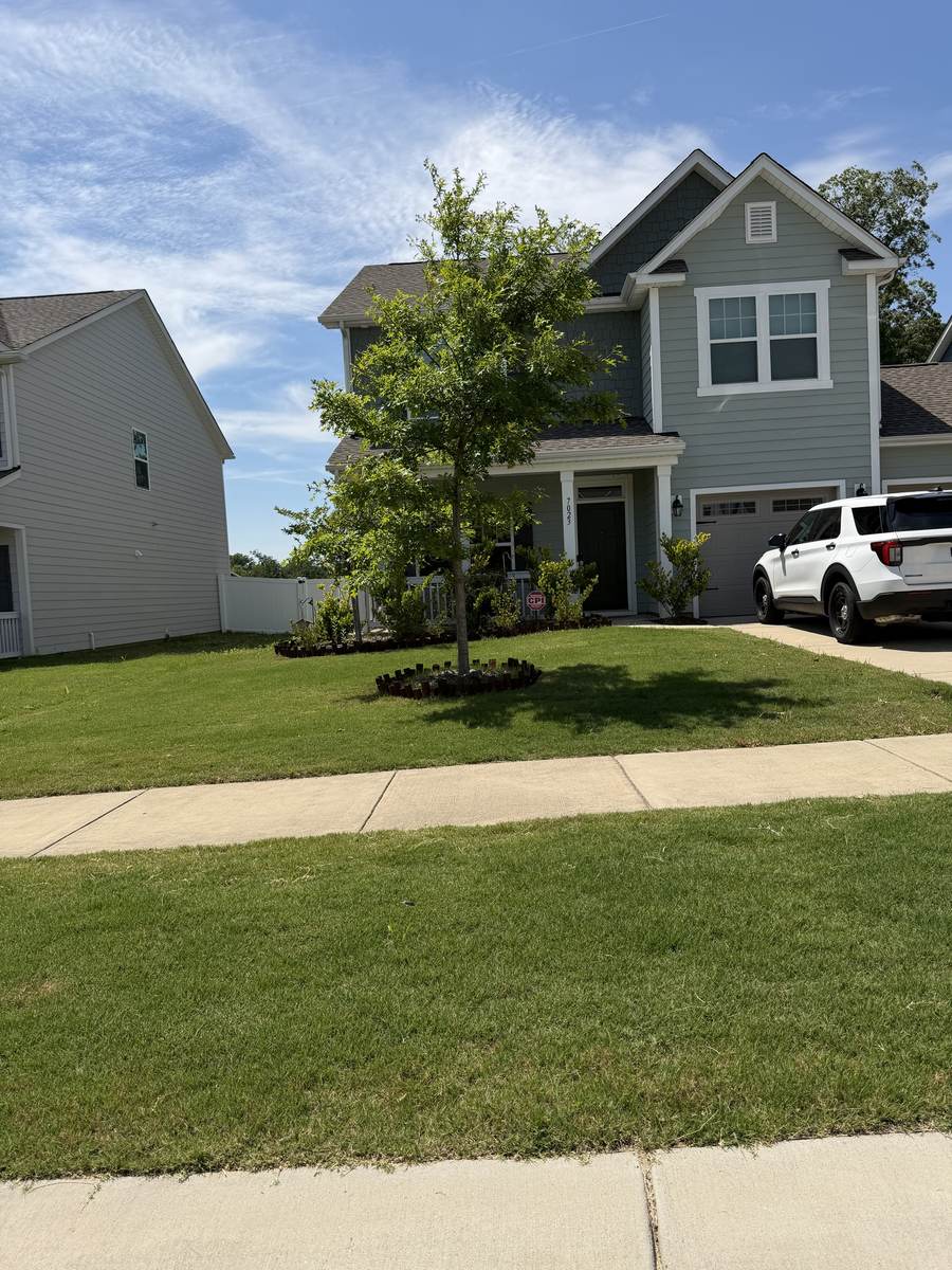 Same lawn thick and green after OSO Turf Care treatment