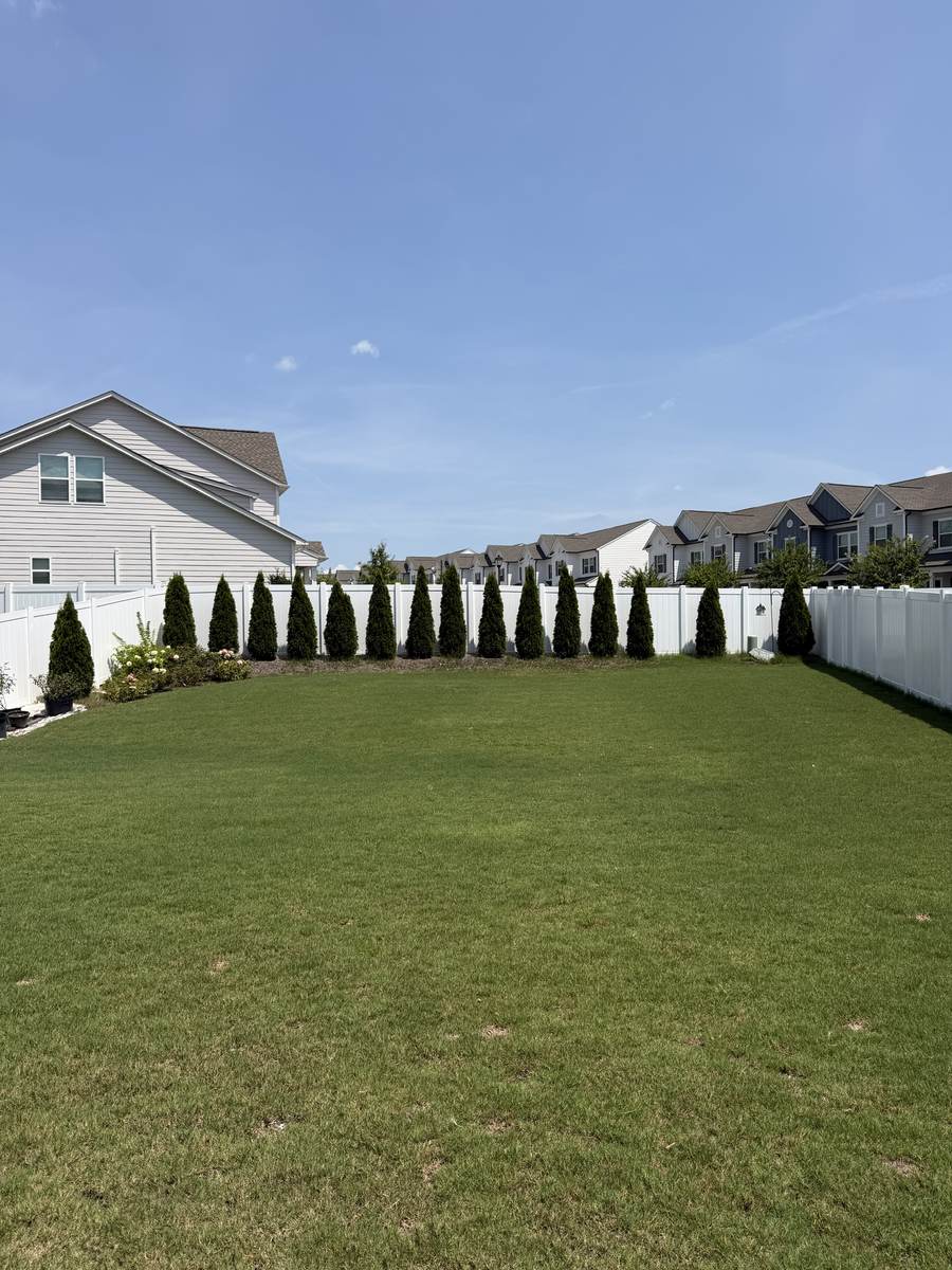 Full, lush backyard lawn after OSO Turf Care treatment