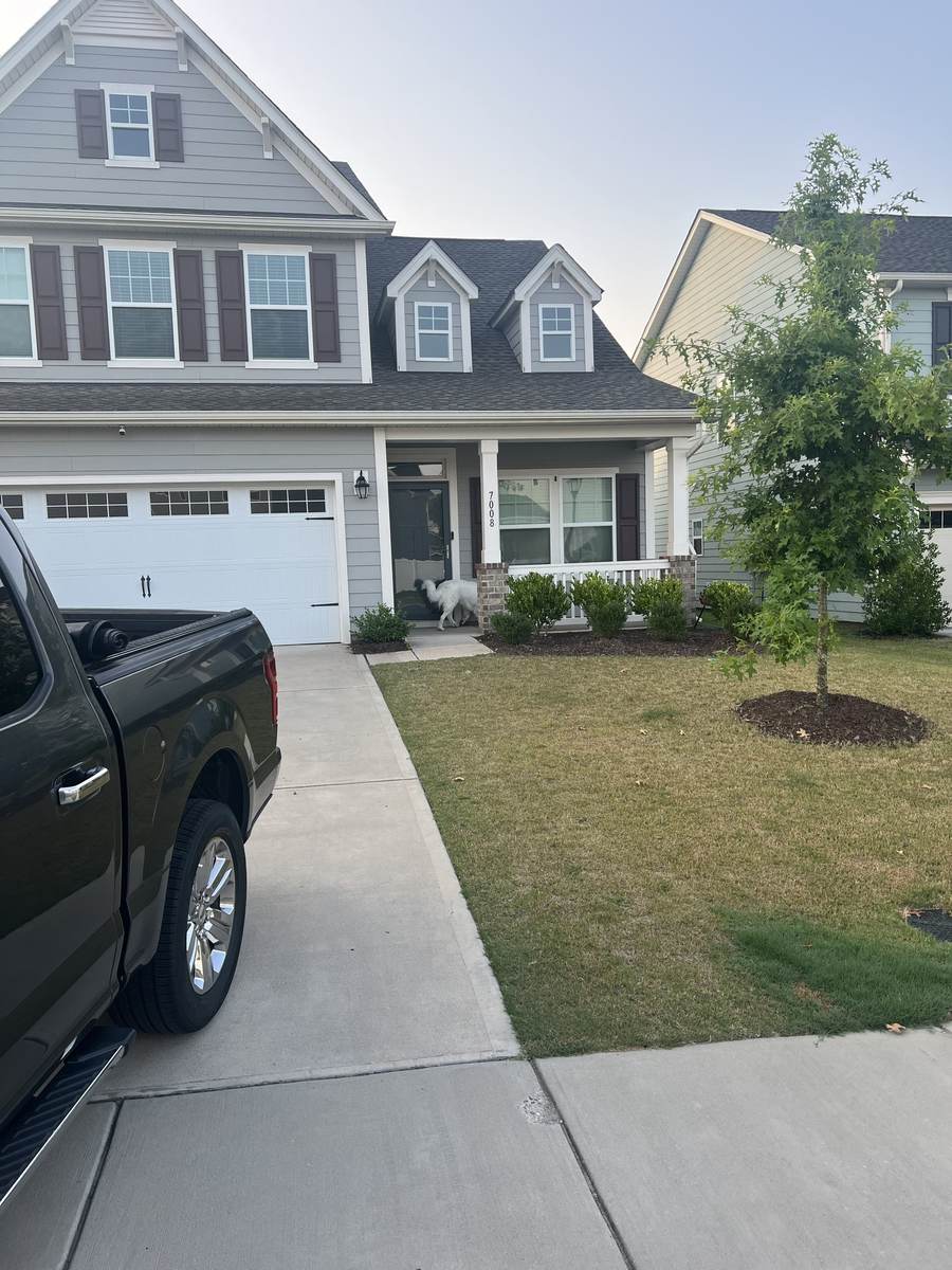 Dry, patchy front lawn before treatment