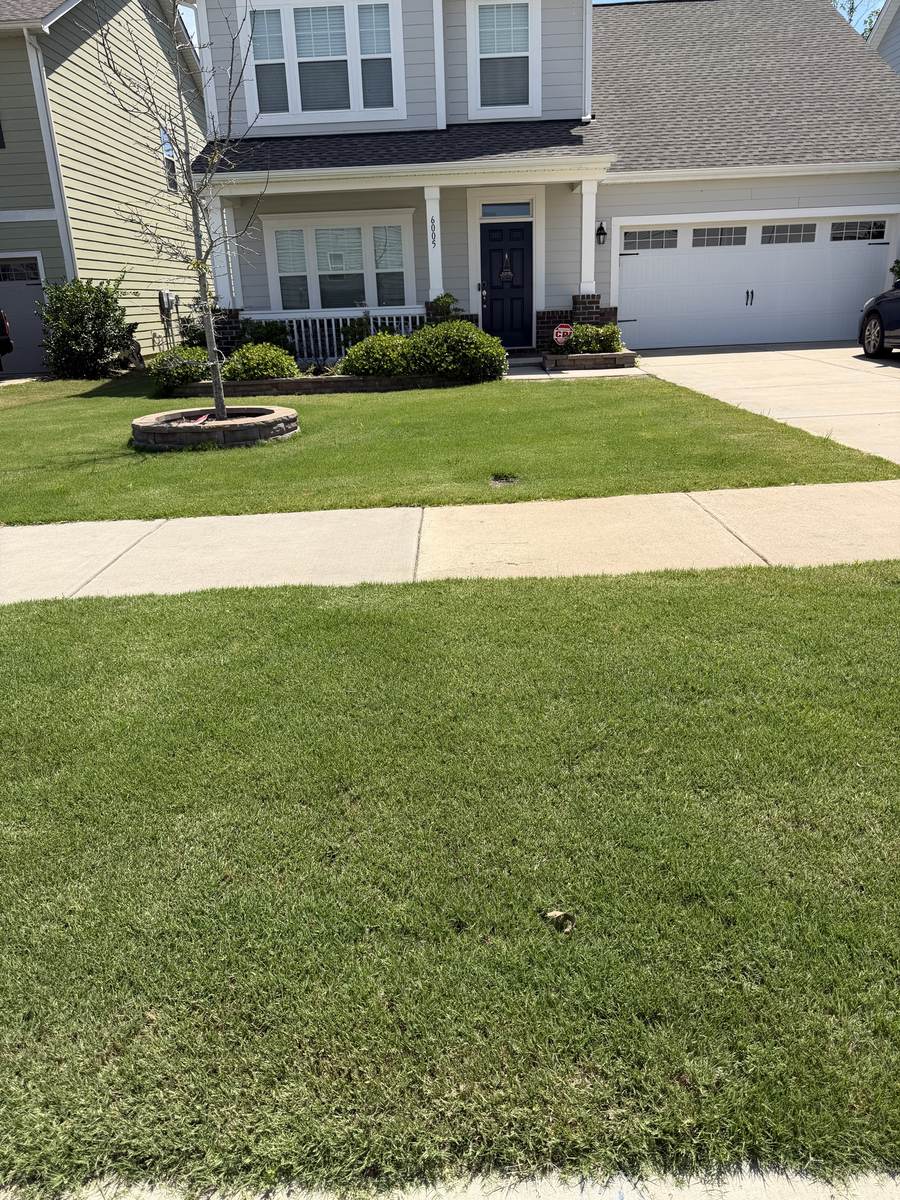 Fuller, greener lawn after OSO Turf Care treatment