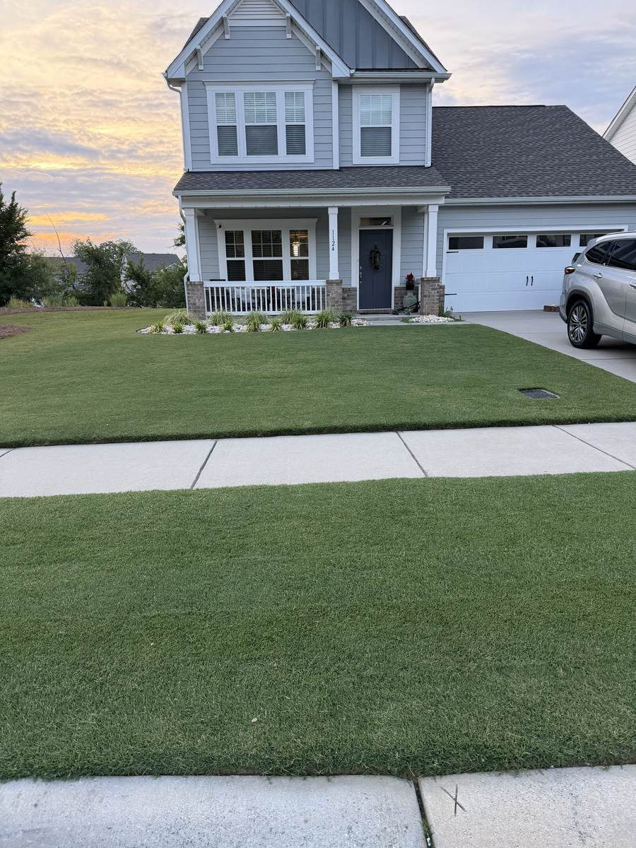 Lush green lawn after OSO Turf Care treatment