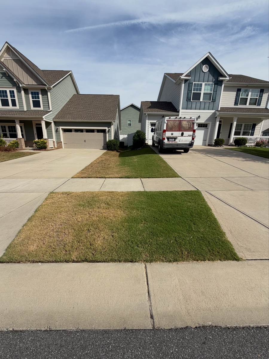 Sharp line between an untreated and OSO-treated lawn