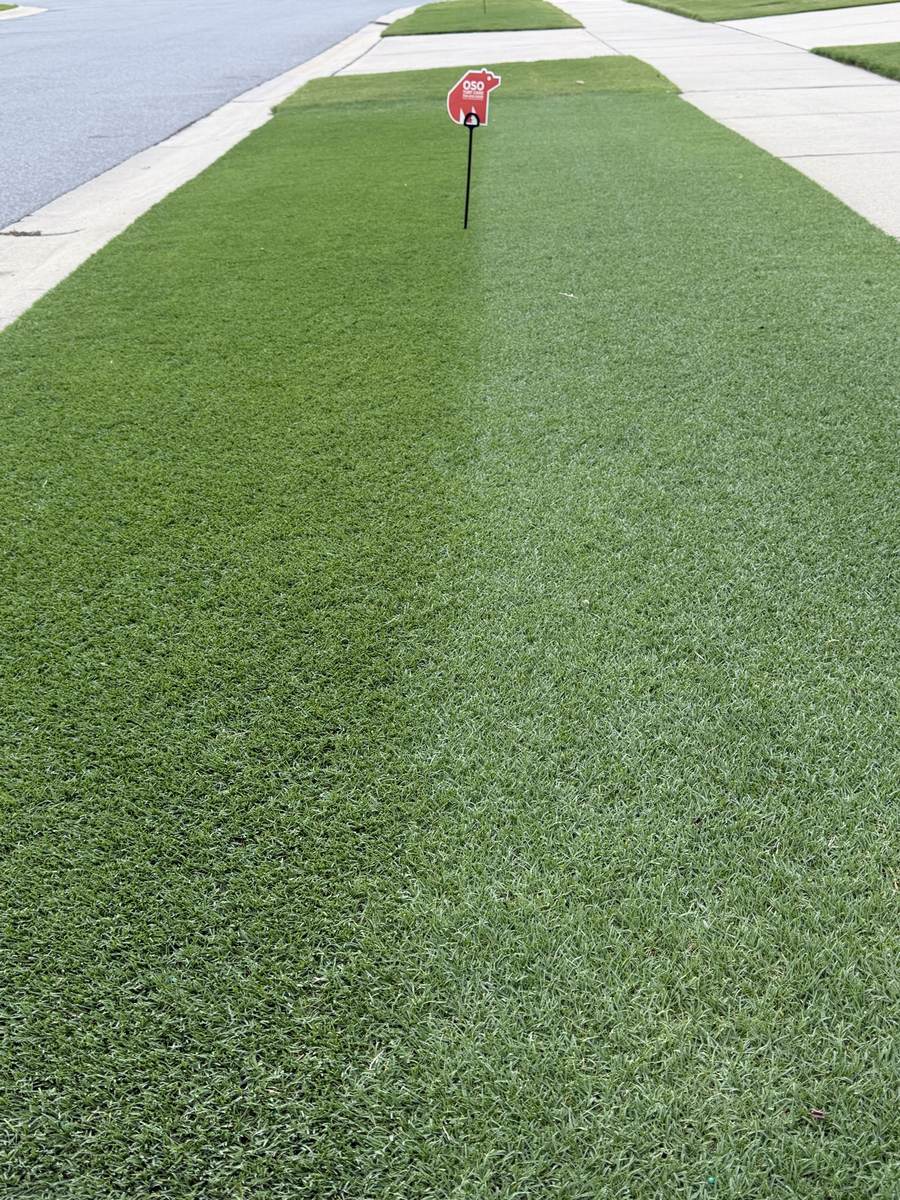 Deep green sidewalk-strip lawn with an OSO Turf Care yard sign