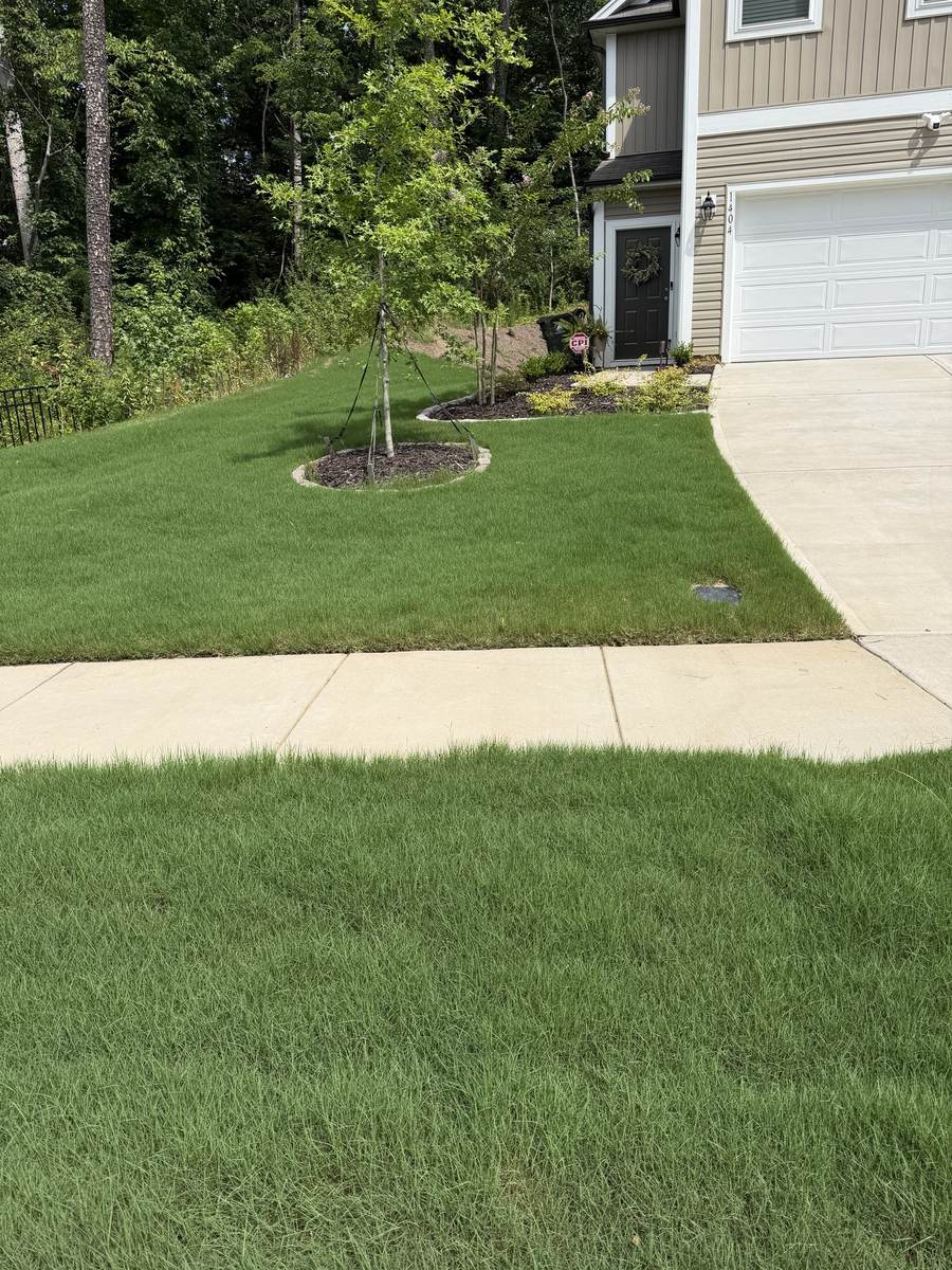 Healthy lawn maintained by OSO Turf Care