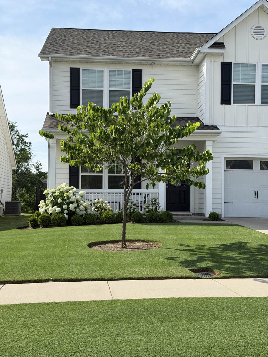 Pristine, healthy lawn maintained by OSO Turf Care