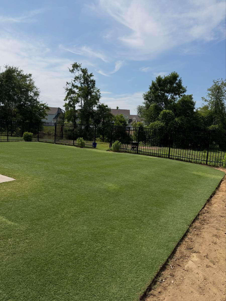 Uniform, deep-green lawn maintained by OSO Turf Care