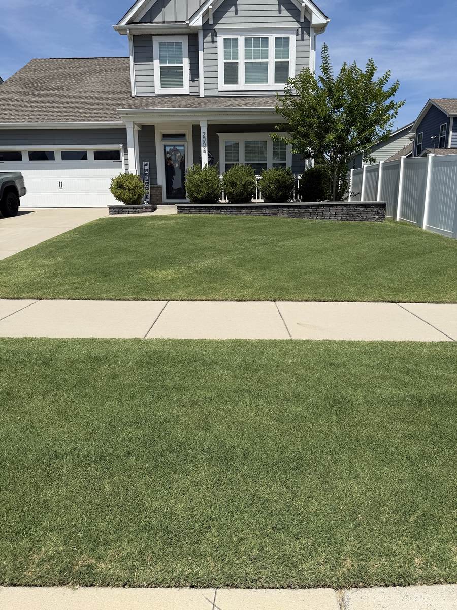 Healthy front lawn maintained by OSO Turf Care