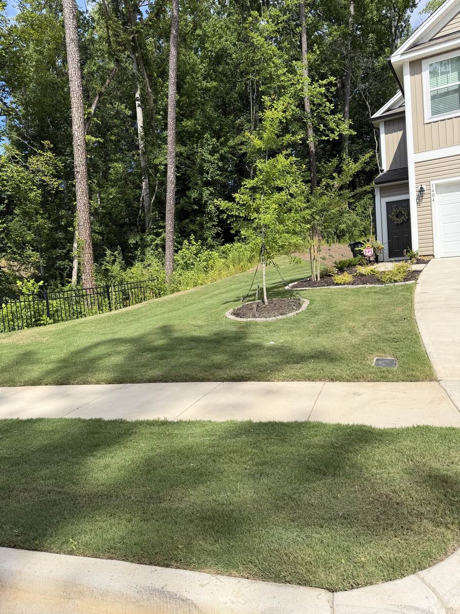 Healthy lawn on a sloped front yard