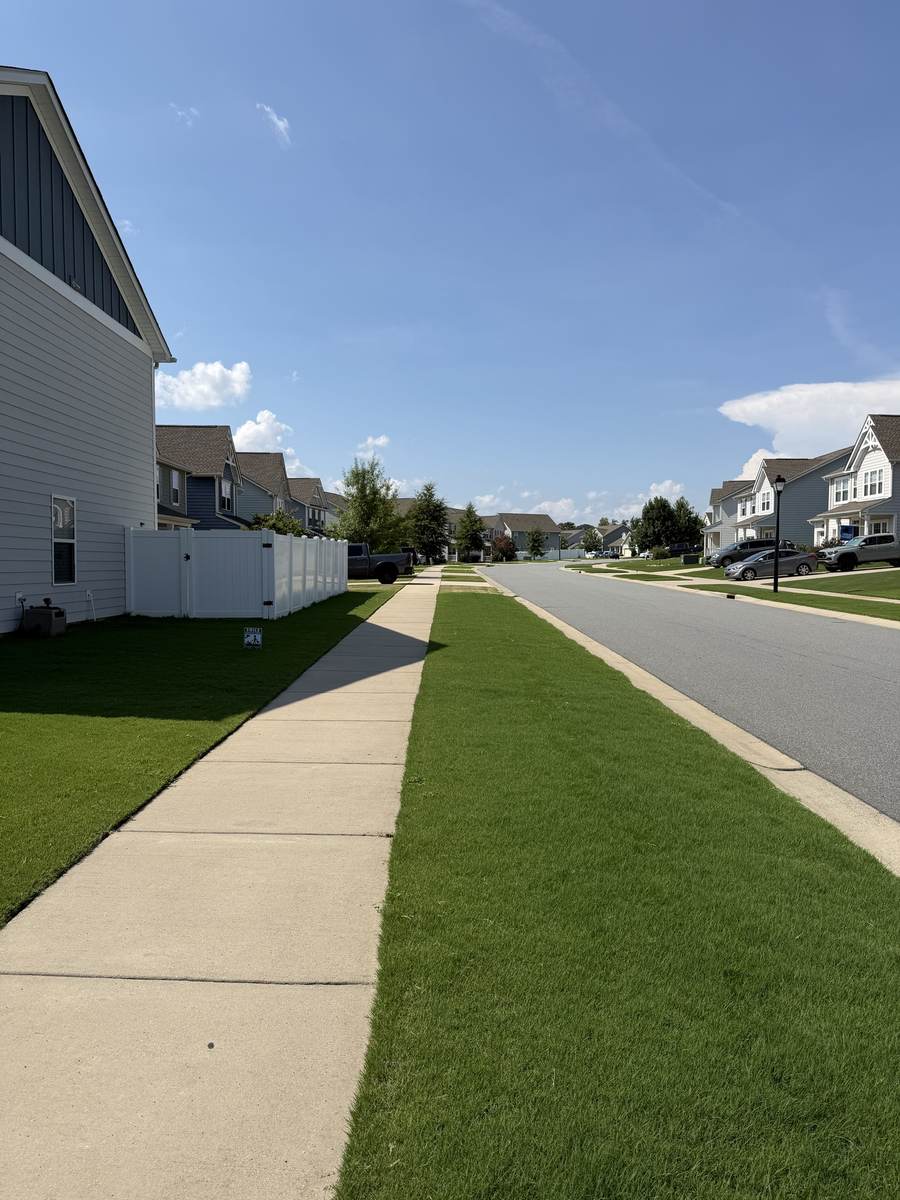 Healthy lawn along a neighborhood street